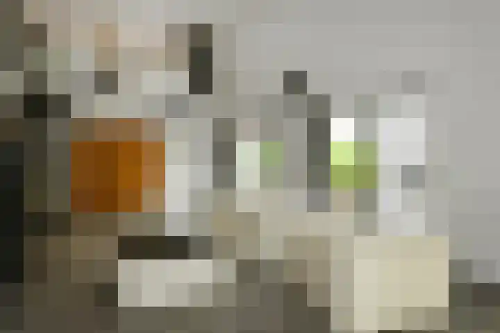 Claustrum 26 Nijmegen thumbnail 13