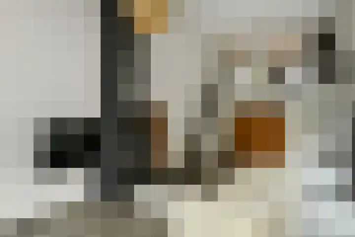 Claustrum 26 Nijmegen thumbnail 16