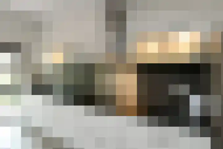 Claustrum 26 Nijmegen thumbnail 25