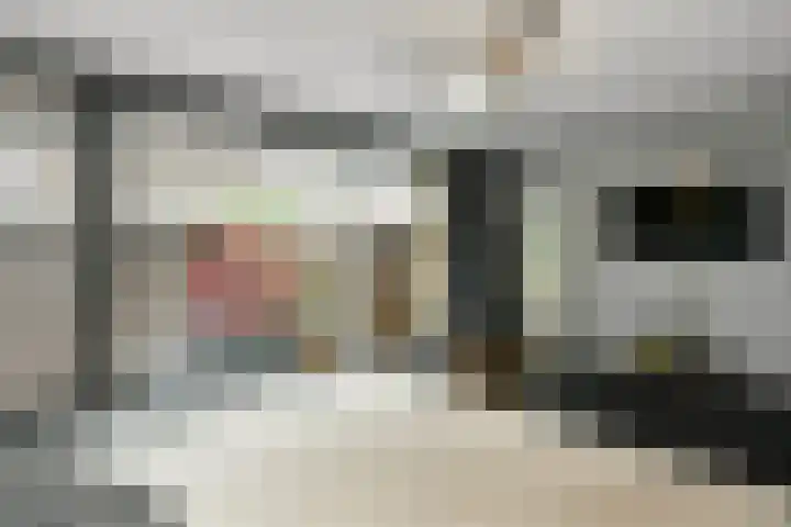 Claustrum 26 Nijmegen thumbnail 27