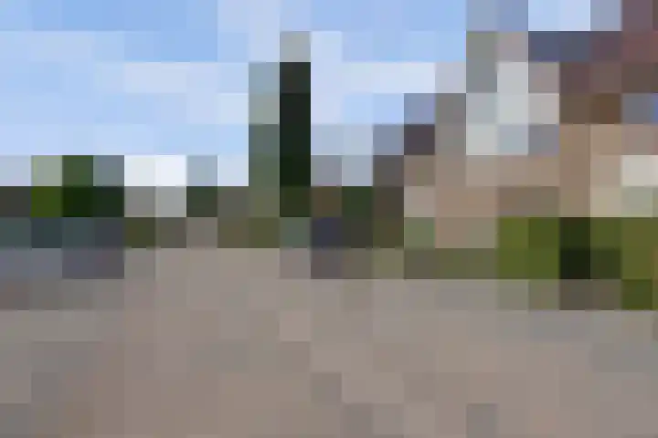 Claustrum 49 Nijmegen thumbnail 5