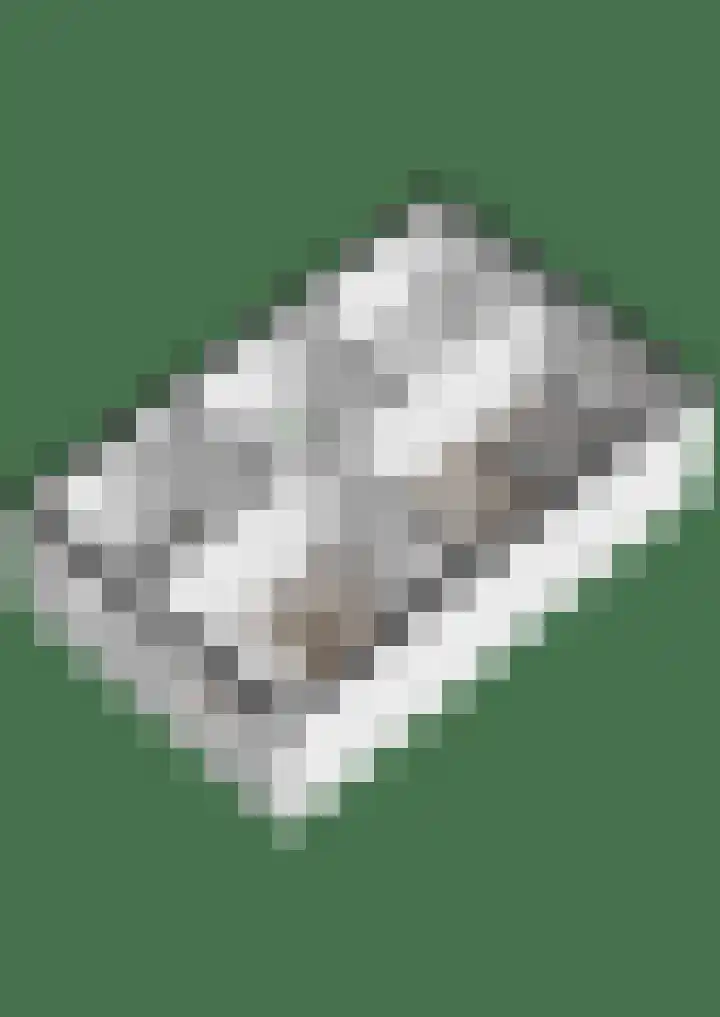 Claustrum 75 Nijmegen thumbnail 56