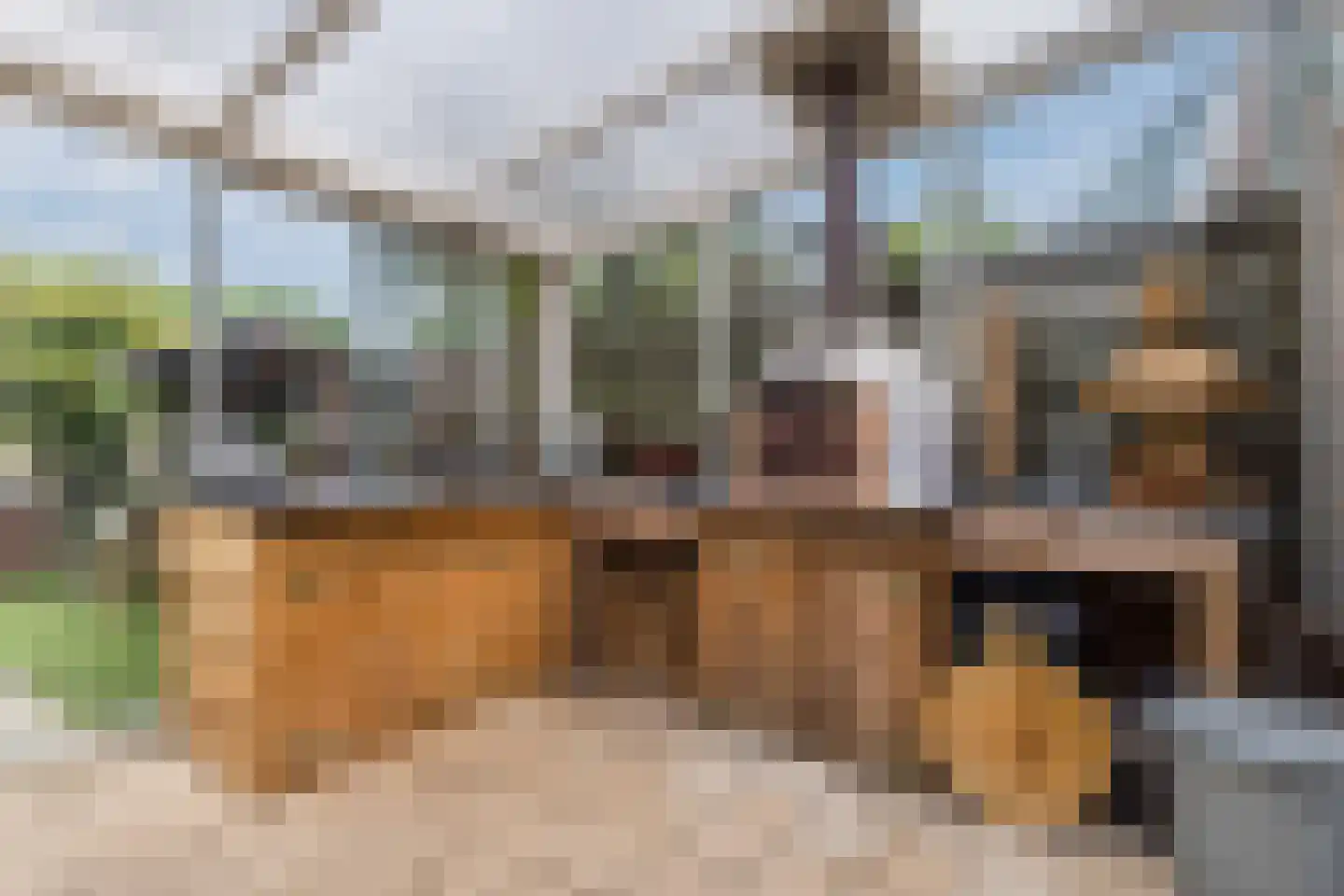 Claustrum 79 Nijmegen thumbnail 41