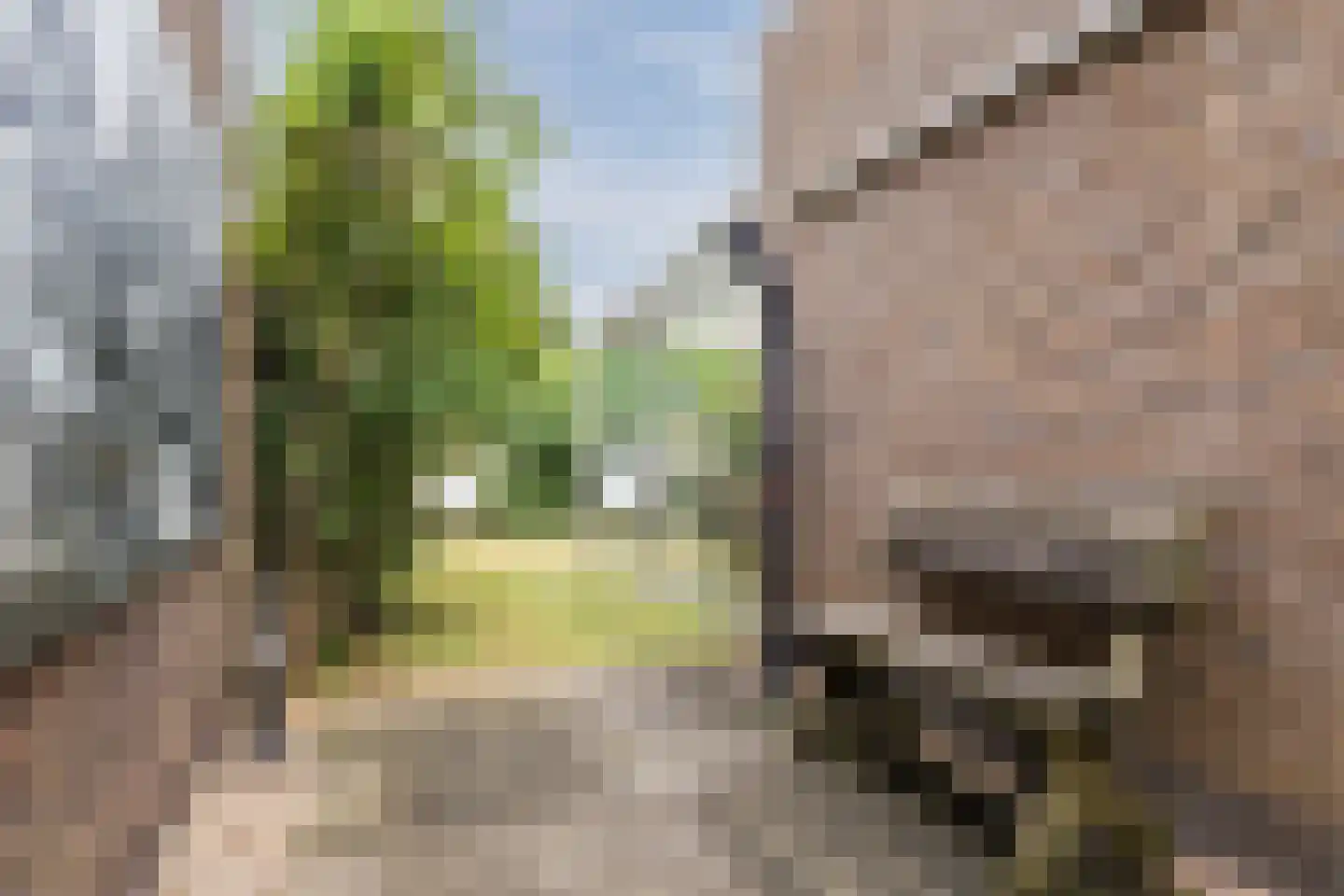 Claustrum 79 Nijmegen thumbnail 49