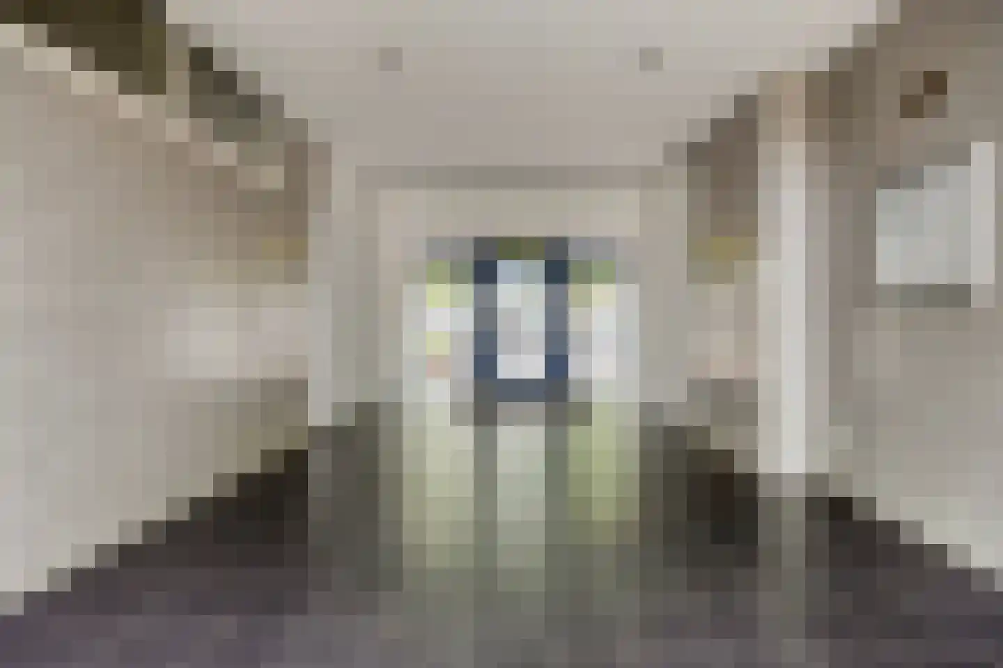 Clavecymbelstraat 36 B Maastricht thumbnail 5