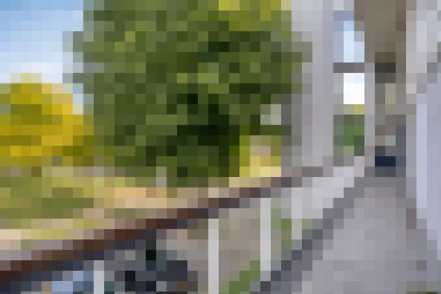 Clavecymbelstraat 70 B Maastricht thumbnail 9