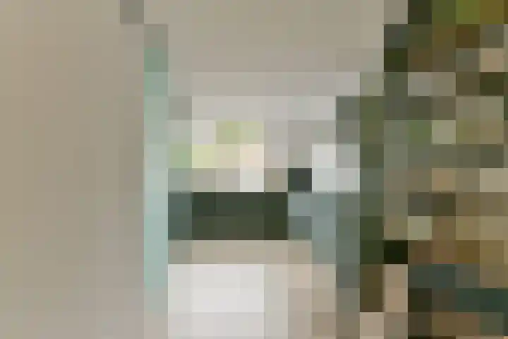 Claverenbladstraat 101 Leusden thumbnail 16