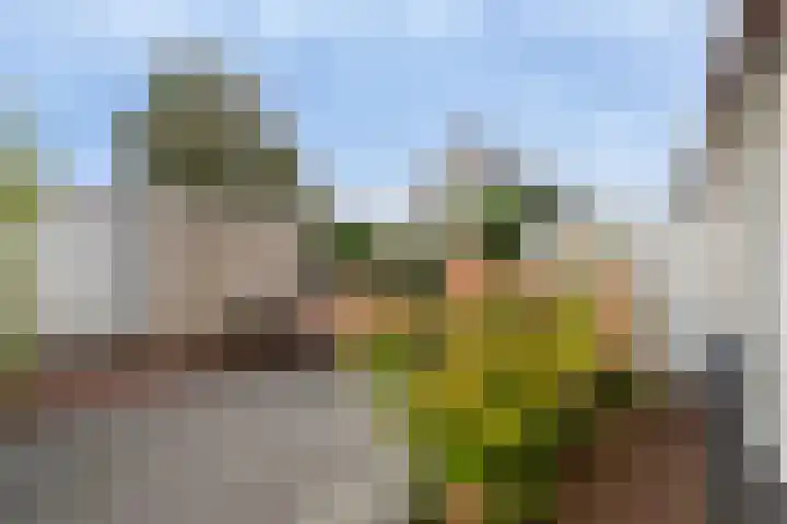 Claverenbladstraat 101 Leusden thumbnail 22