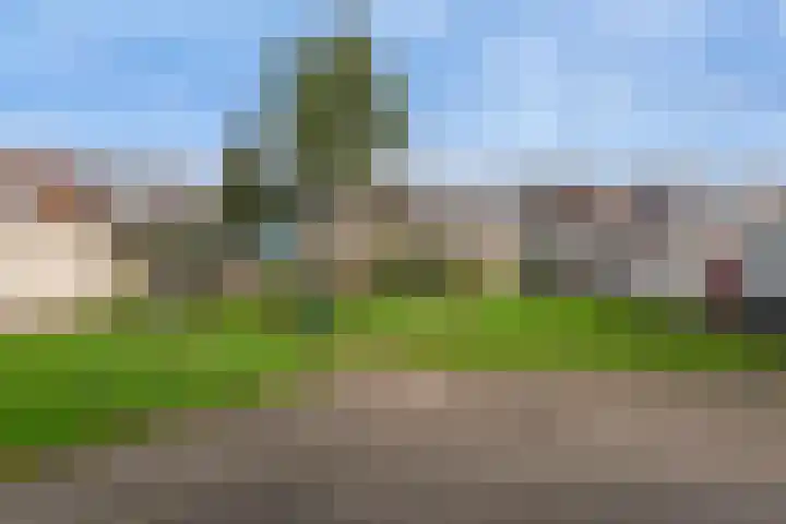 Claverenbladstraat 101 Leusden thumbnail 24