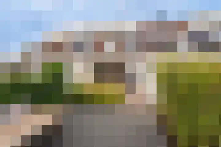 Claverenbladstraat 101 Leusden thumbnail 27