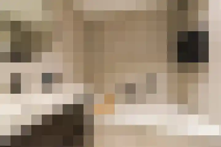 Claverenbladstraat 101 Leusden thumbnail 38
