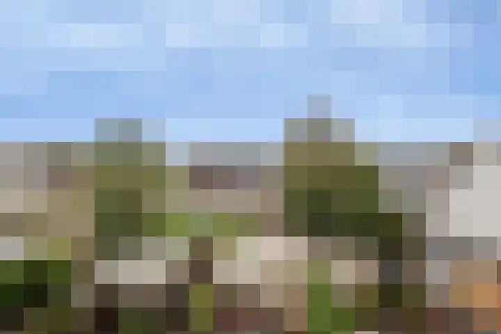 Claverenbladstraat 101 Leusden thumbnail 43