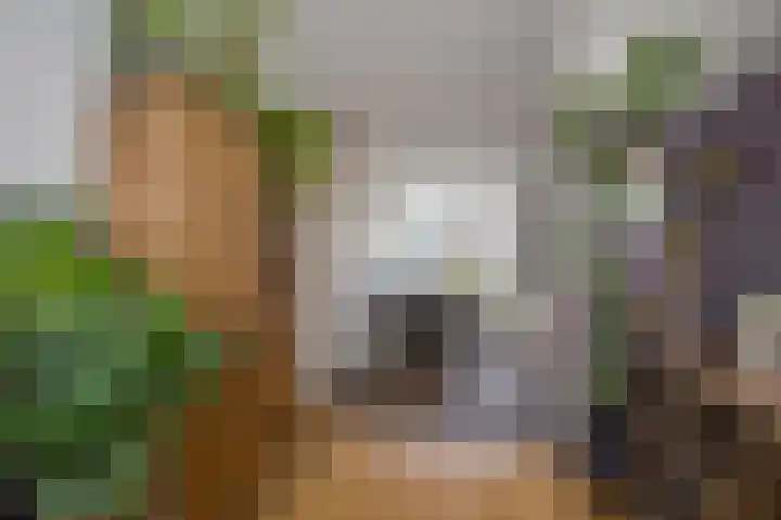 Claverenbladstraat 123 Leusden thumbnail 11