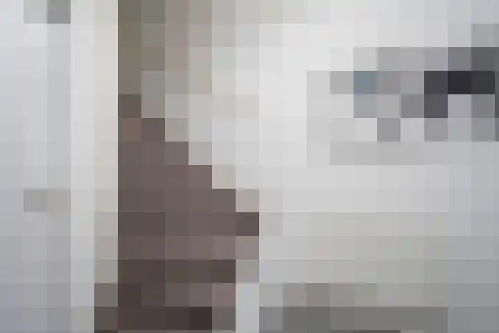 Claverenbladstraat 123 Leusden thumbnail 15