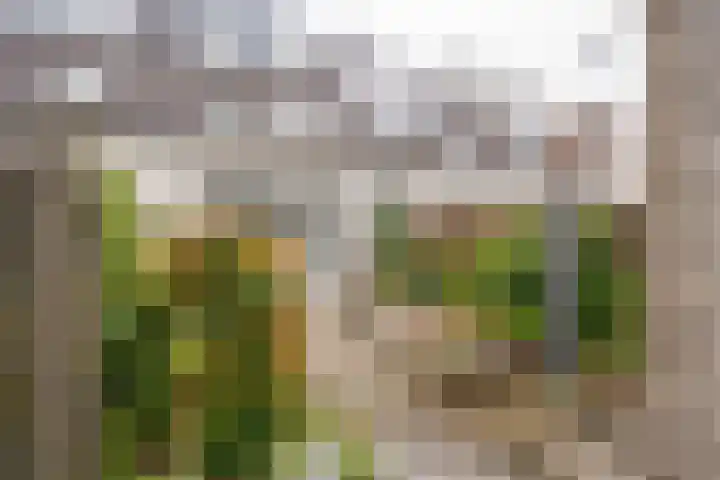 Claverenbladstraat 123 Leusden thumbnail 23
