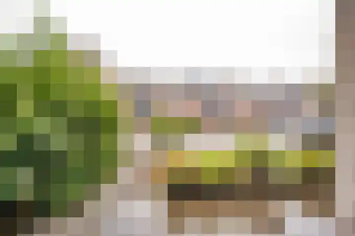 Claverenbladstraat 123 Leusden thumbnail 25