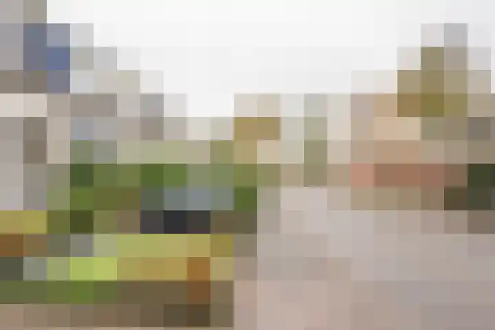 Claverenbladstraat 123 Leusden thumbnail 26