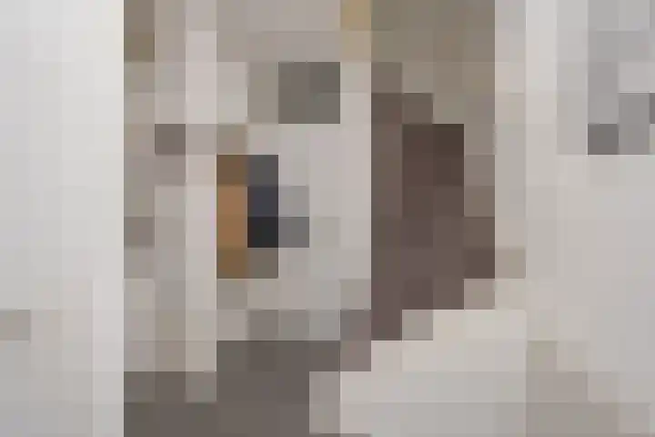 Claverenbladstraat 123 Leusden thumbnail 4