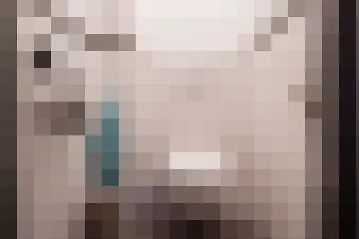 Claverenbladstraat 123 Leusden thumbnail 5