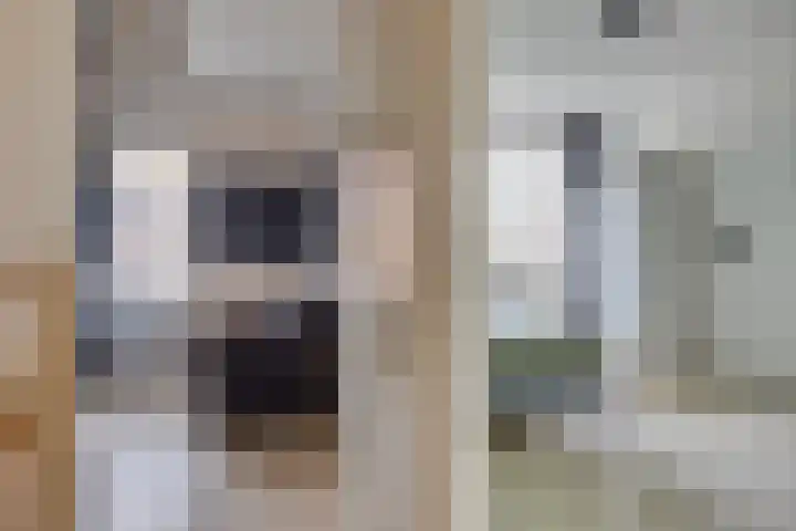 Claverenbladstraat 124 Leusden thumbnail 15