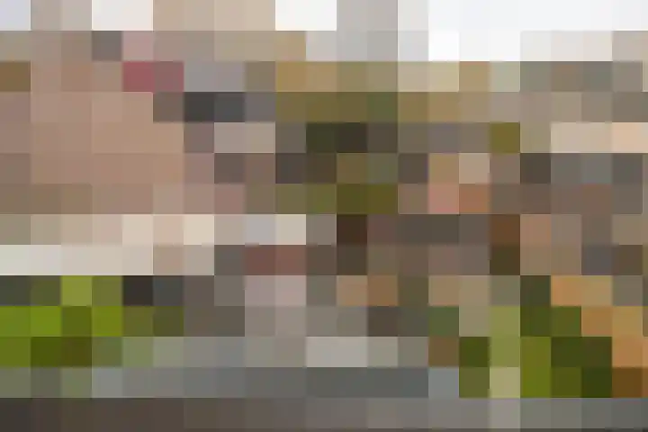Claverenbladstraat 124 Leusden thumbnail 27