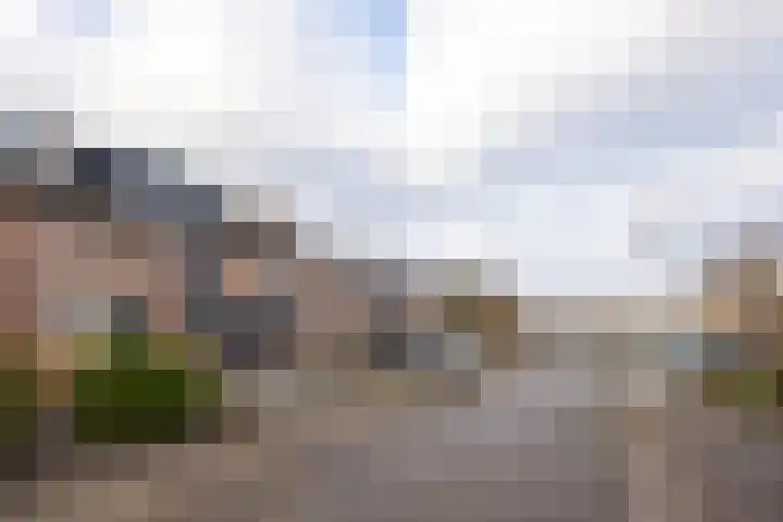 Claverenbladstraat 124 Leusden thumbnail 36