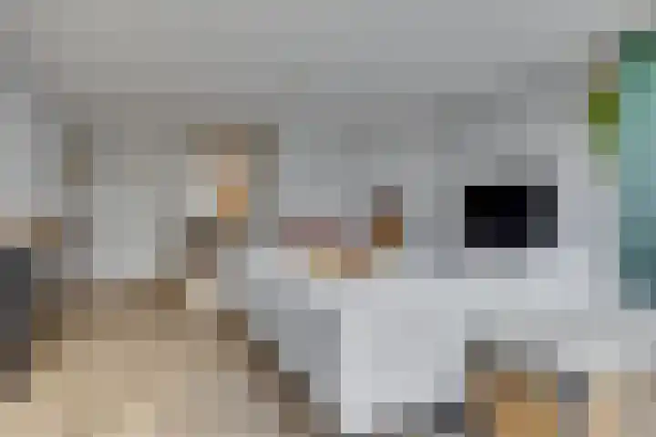 Claverenbladstraat 124 Leusden thumbnail 8