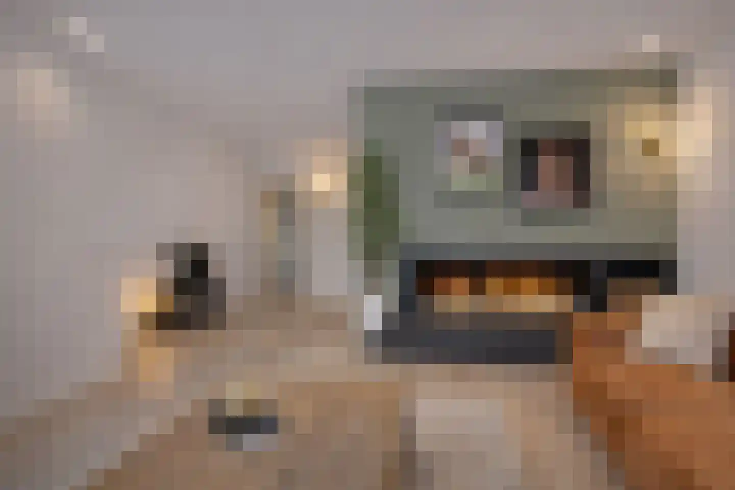 Claverenbladstraat 128 Leusden thumbnail 10