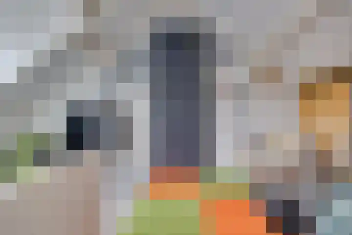Claverenbladstraat 128 Leusden thumbnail 19