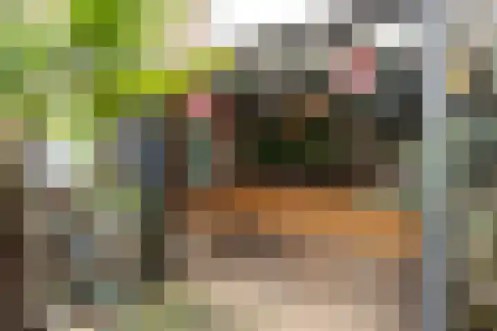 Claverenbladstraat 128 Leusden thumbnail 24