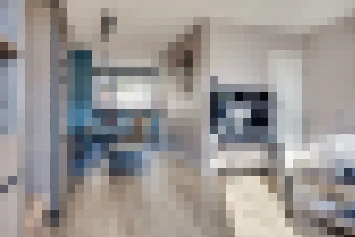 Claverenbladstraat 133 Leusden thumbnail 15