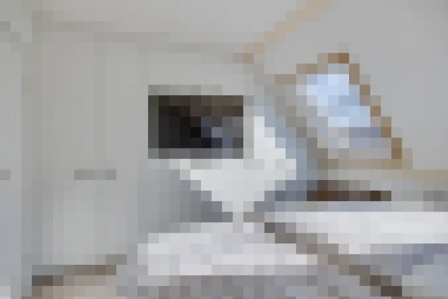 Claverenbladstraat 133 Leusden thumbnail 17
