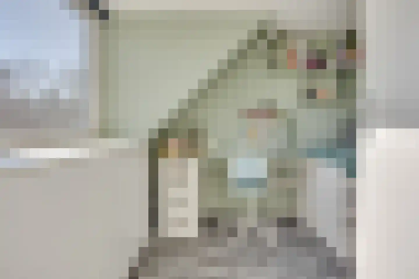 Claverenbladstraat 133 Leusden thumbnail 24