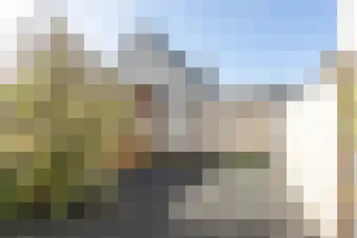 Claverenbladstraat 77 Leusden thumbnail 16
