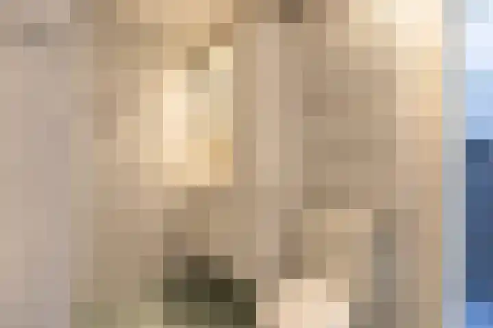 Claverenbladstraat 77 Leusden thumbnail 26