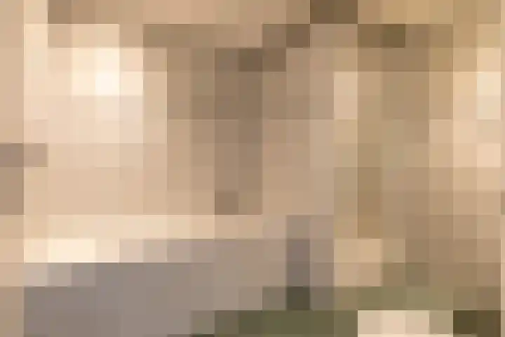 Claverenbladstraat 77 Leusden thumbnail 4