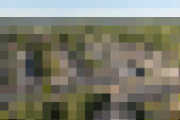 Claverenbladstraat 77 Leusden thumbnail 41