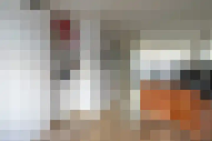 Claverenbladstraat 79 Leusden thumbnail 19
