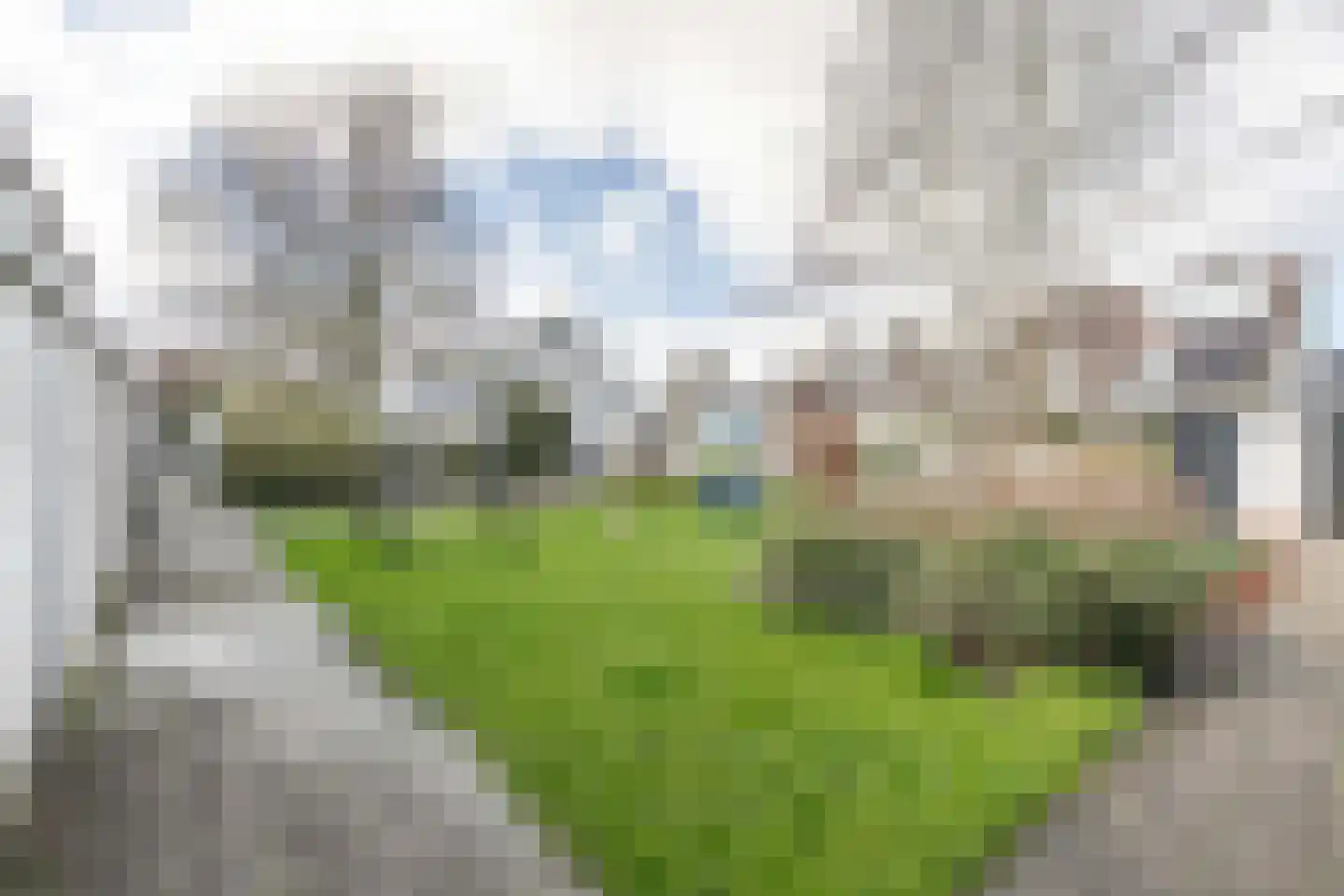 Claverenbladstraat 79 Leusden thumbnail 38