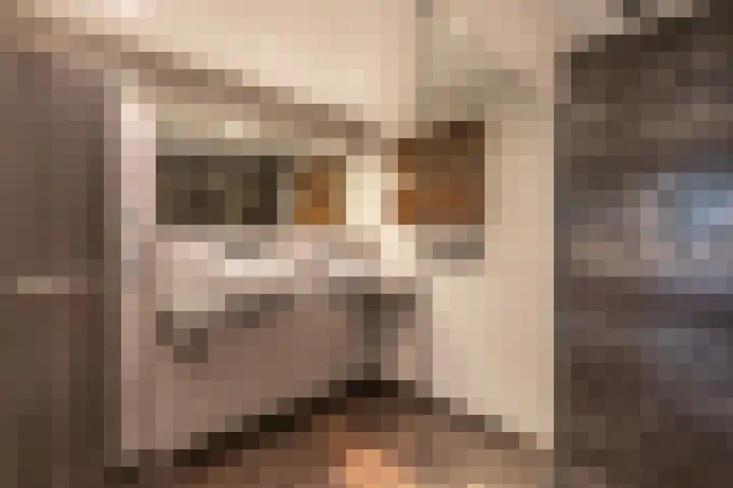 Claverenbladstraat 79 Leusden thumbnail 4