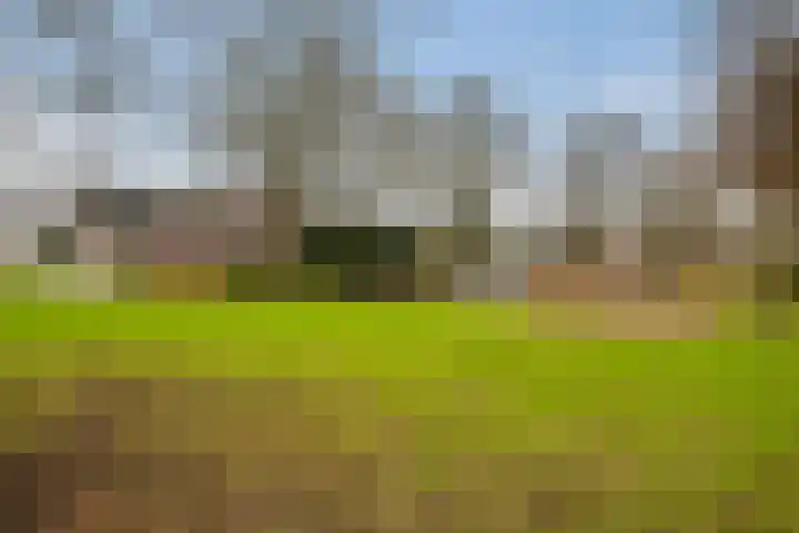 Claverenbladstraat 8 Leusden thumbnail 27