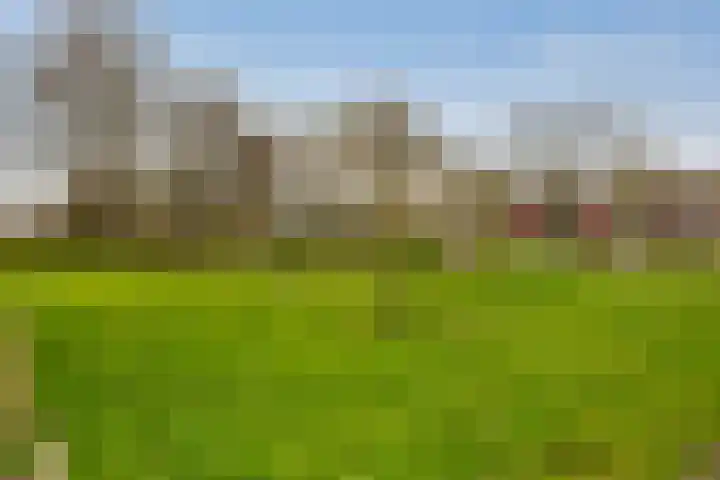Claverenbladstraat 8 Leusden thumbnail 28