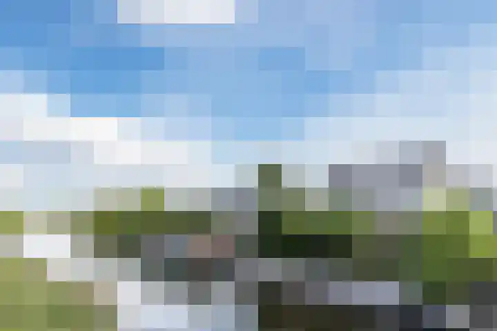 Cleij Weer 2 Assendelft foto 2