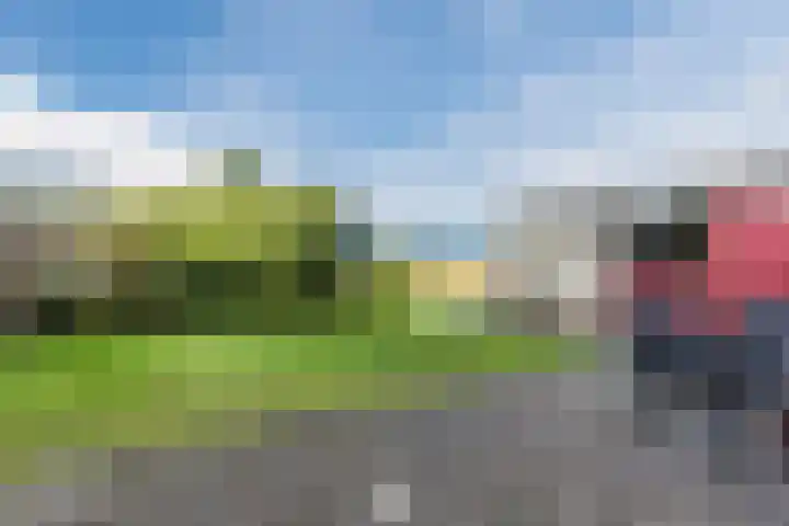 Cleij Weer 2 Assendelft thumbnail 49