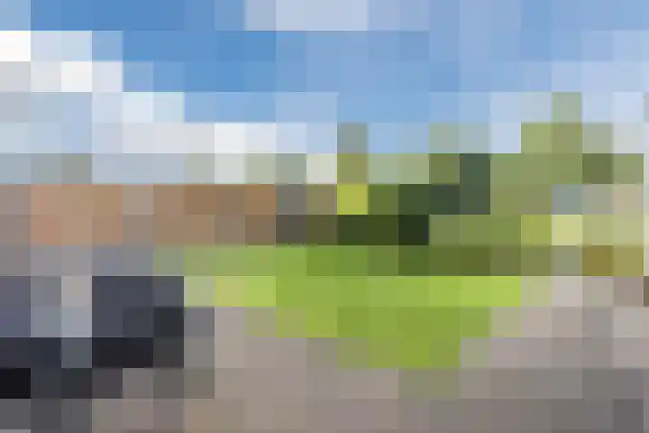 Cleij Weer 2 Assendelft thumbnail 50