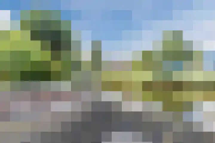 Cleij Weer 2 Assendelft thumbnail 52