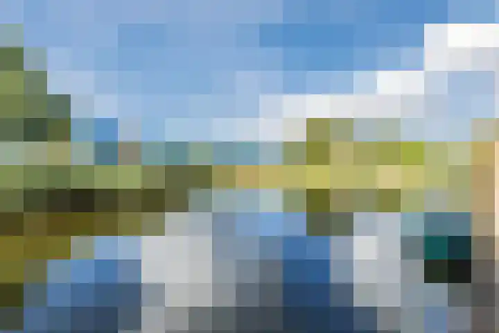 Cleij Weer 2 Assendelft thumbnail 54