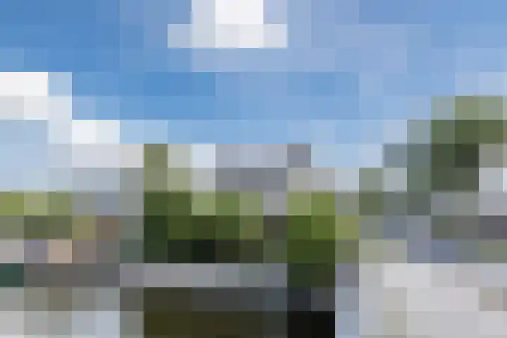 Cleij Weer 2 Assendelft thumbnail 56