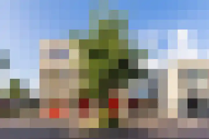 Cleij Weer 2 Assendelft thumbnail 59