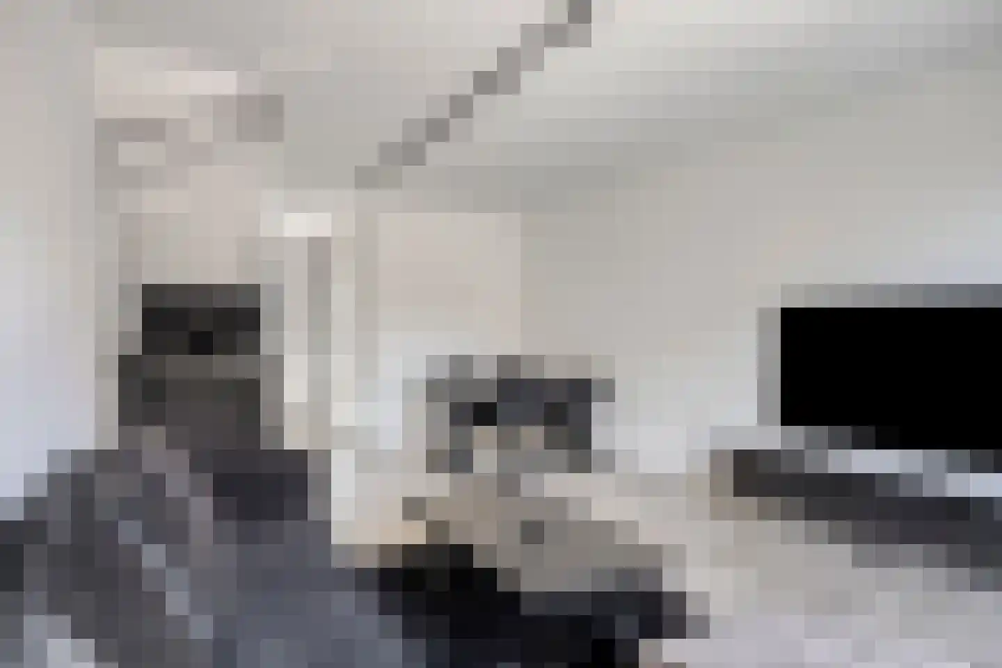 Cleijenakker 19 Veghel thumbnail 11
